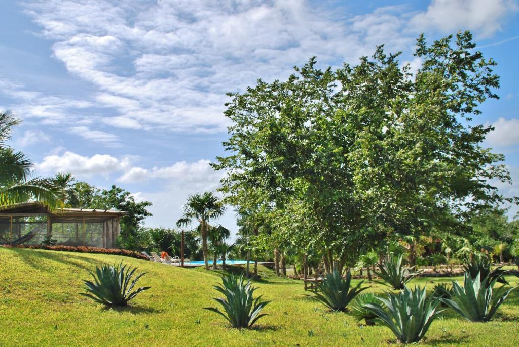 Hotel El Chital Raudales Dış mekan fotoğraf